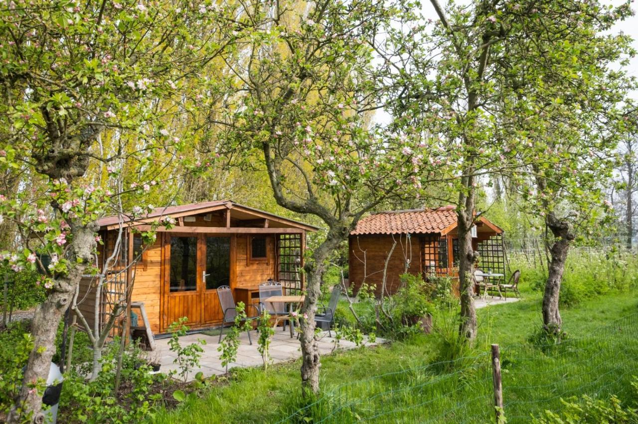 Wijndomein De Vier Ambachten -overnachten In De Wijngaard Campingplatz *
