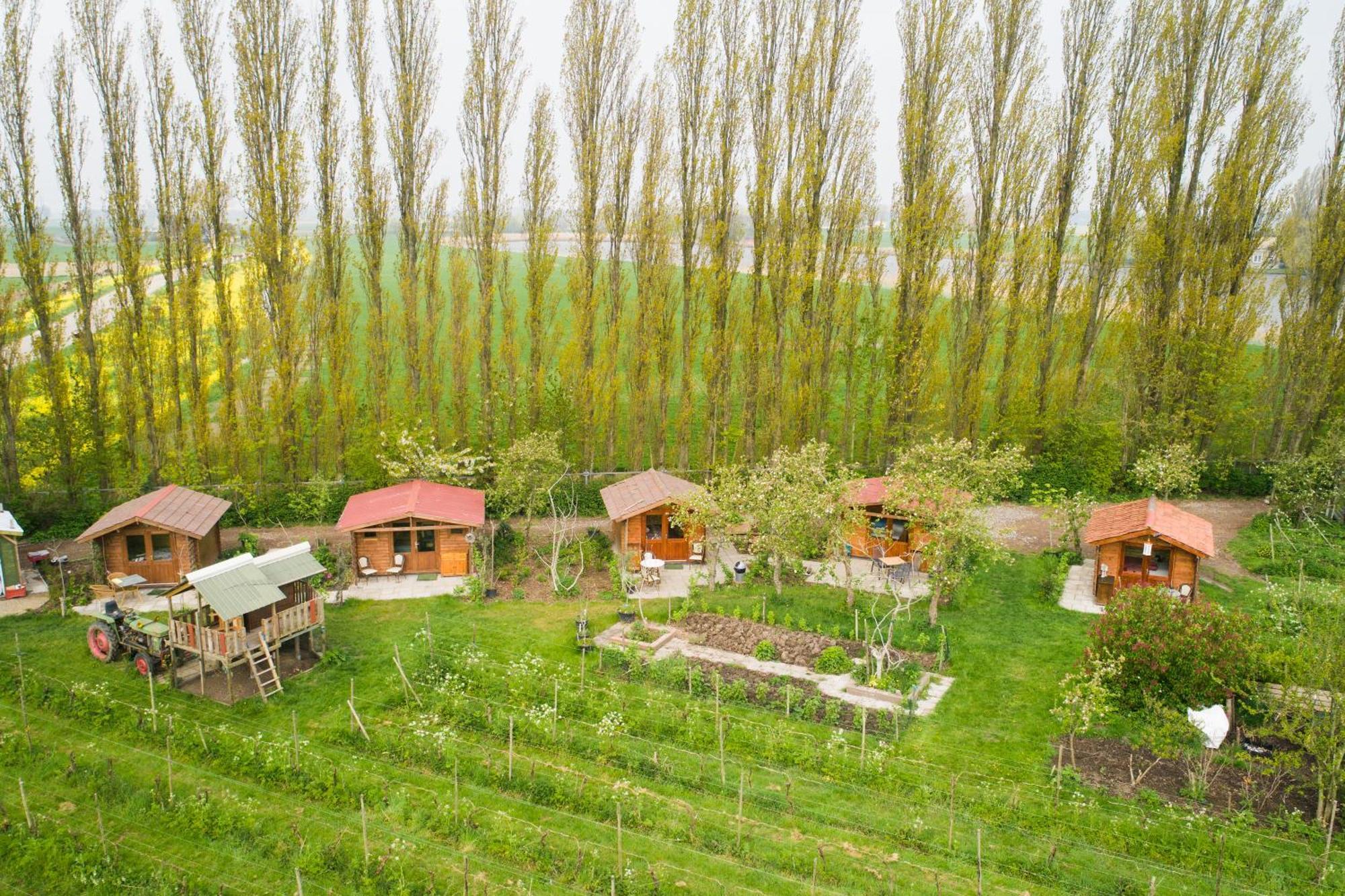 Campingplatz Wijndomein De Vier Ambachten -overnachten In De Wijngaard