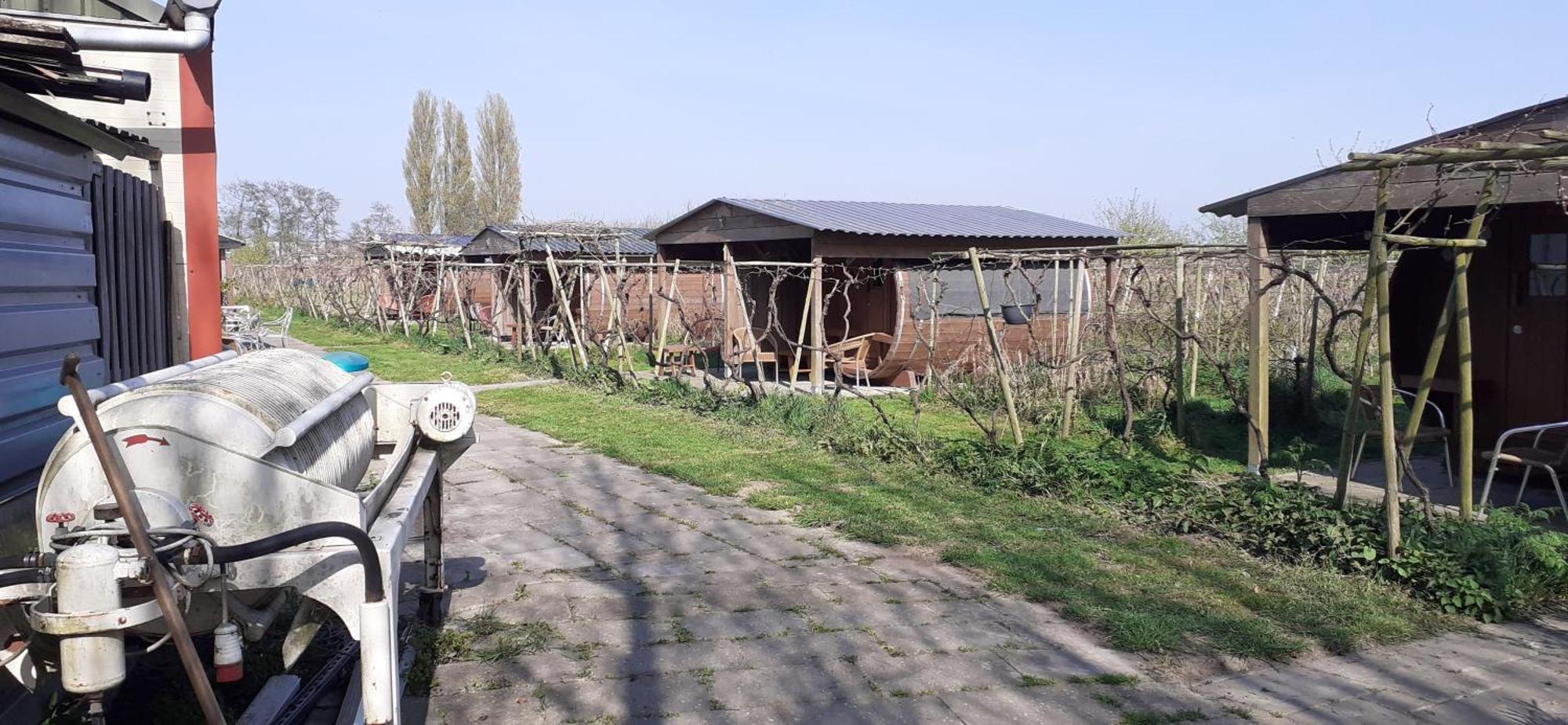 Wijndomein De Vier Ambachten -overnachten In De Wijngaard Campingplatz