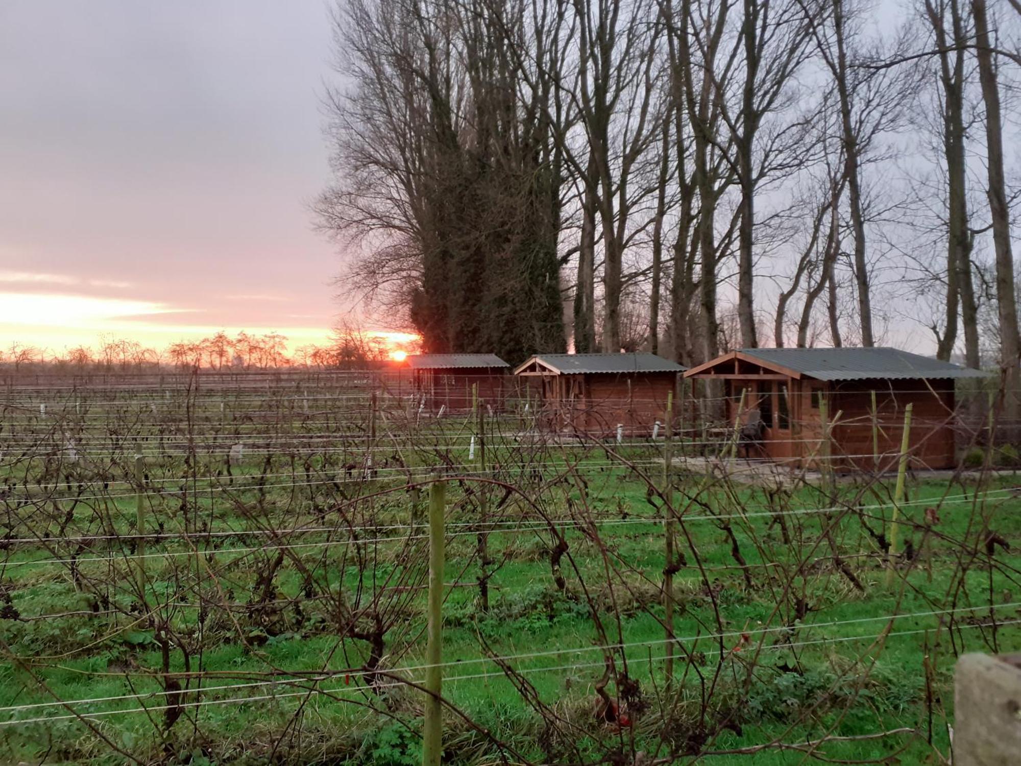 Campingplatz Wijndomein De Vier Ambachten -overnachten In De Wijngaard *