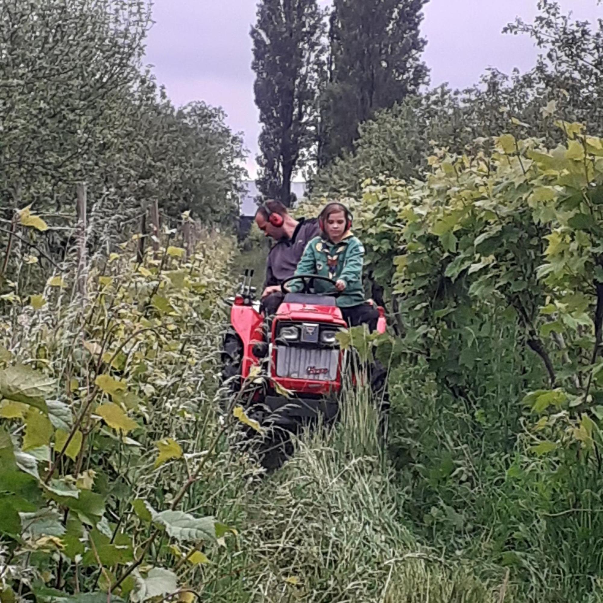 Camping Wijndomein De Vier Ambachten -overnachten In De Wijngaard