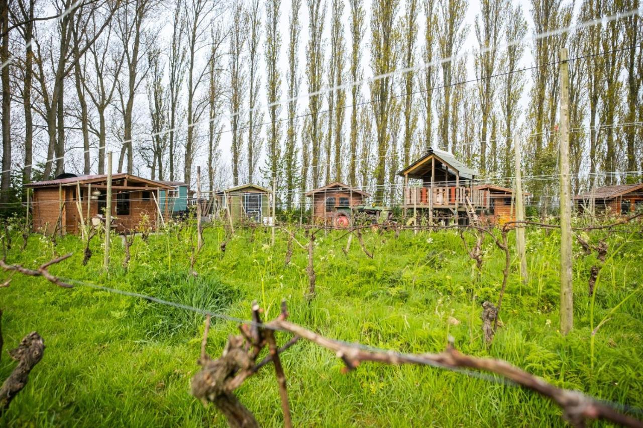 Campsite Wijndomein De Vier Ambachten -overnachten In De Wijngaard Simonshaven